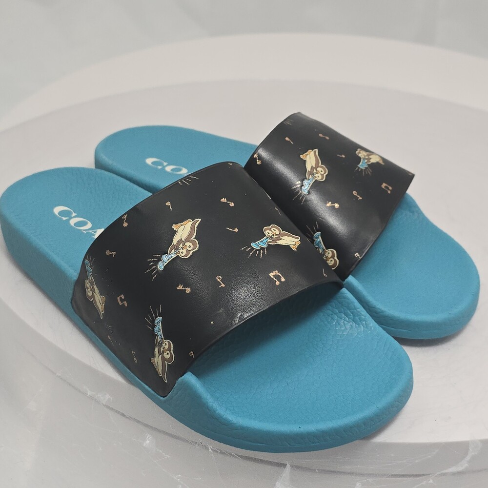 COACH Udele Sport Slides Women 7 Owl/Birds Print Signature C Coated Flip Flop